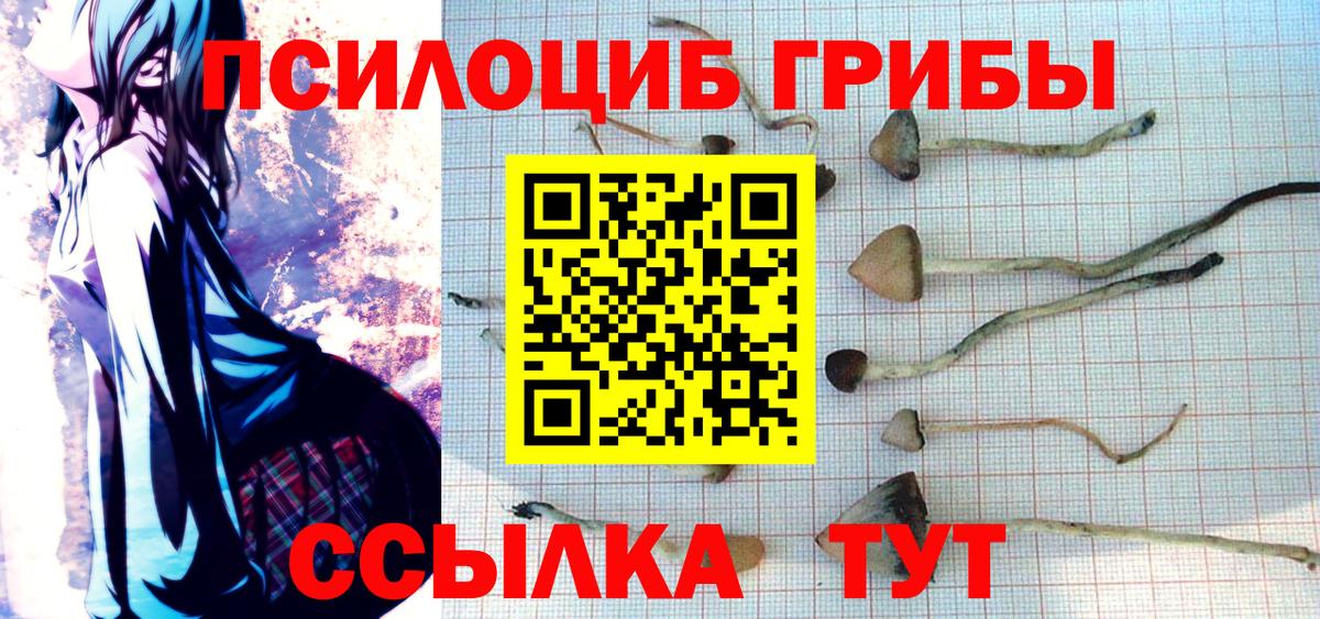 закладки  Псилоцибиновые грибы MAGIC MUSHROOMS  Вход с VPN  Реж 
