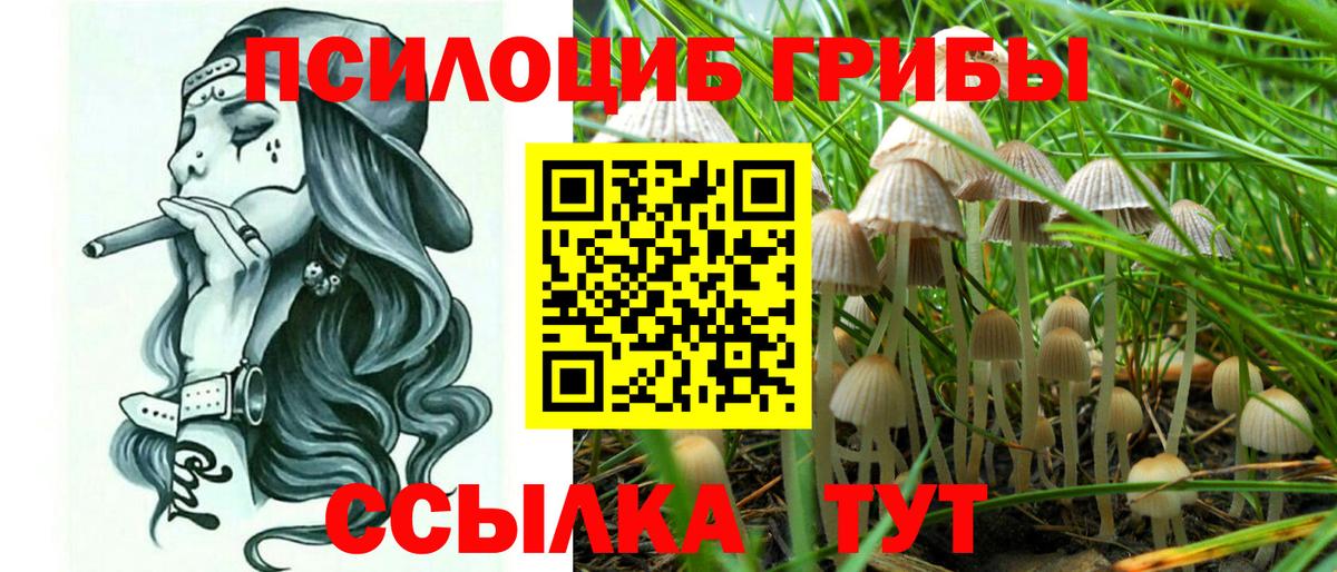 Псилоцибиновые грибы мухоморы Реж
